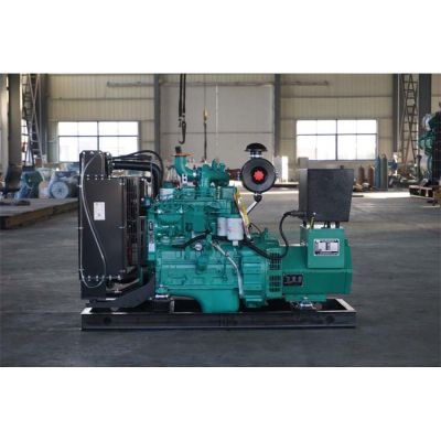 20kw東風(fēng)康明斯柴油發(fā)電機(jī)組-東風(fēng)康明斯4缸柴油機(jī)4B3.9-G2柴油發(fā)電機(jī)組,缸徑/行程：102/120mm,柴油發(fā)電機(jī)組水冷發(fā)動(dòng)機(jī)功率27KW,柴油發(fā)電機(jī)組配套馬拉松斯坦福發(fā)電機(jī)。廠價(jià)直銷歡迎選購：13773399855。
